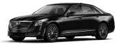 Executive Sedan