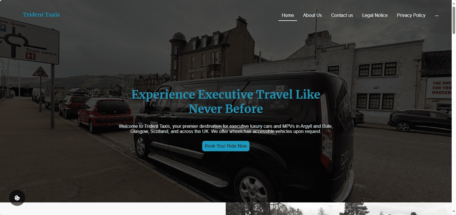 trident taxis